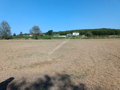 Kocaeli Kandıra Karaağaç 20 Dönüm Yatırımlık İki Tarla 2