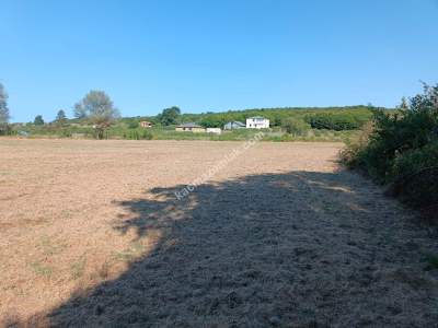 Kocaeli Kandıra Karaağaç 20 Dönüm Yatırımlık İki Tarla 4