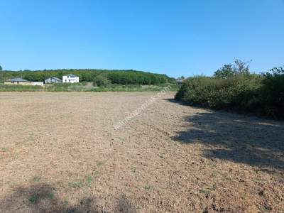 Kocaeli Kandıra Karaağaç 20 Dönüm Yatırımlık İki Tarla 1