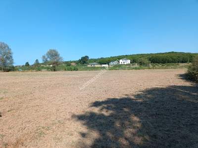 Kocaeli Kandıra Karaağaç 20 Dönüm Yatırımlık İki Tarla 3