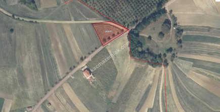 Kandıra Lokman'lı Köyü'nde 1.567 M2 Satılık Tarla 1