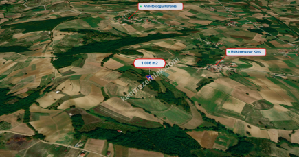 Kocaeli Kandıra Mülkşehsuvar Köyü 1.006 M Satılık Tarla