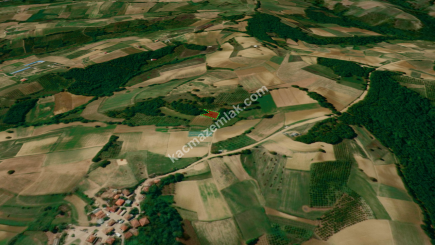 Kocaeli Kandıra Mülkşehsuvar Köyü 1.006 M Satılık Tarla 11