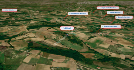 Kocaeli Kandıra Mülkşehsuvar Köyü 1.006 M Satılık Tarla 4