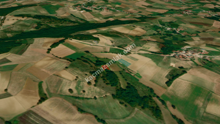 Kocaeli Kandıra Mülkşehsuvar Köyü 1.006 M Satılık Tarla 10