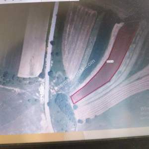 Kandıra Tatarahmette Satılık Kacırılmayacak Tarla