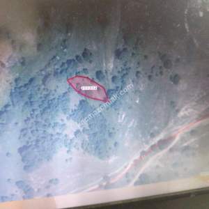 Kandıra Tatarahmette Satılık Uygun Tarla