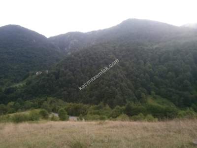 Kocaeli Kartepe Sultaniye Köyünde Satılık Arsa 6