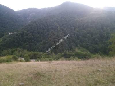 Kocaeli Kartepe Sultaniye Köyünde Satılık Arsa 3