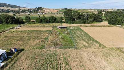 Körfez/Cuma Köyünde 1 Dönümlük İçinde Konteynırlı Arsa 2