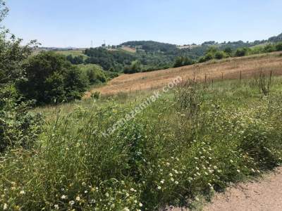 Körfez'de Yol Üzeri İmarlı Satılık Tarla 3