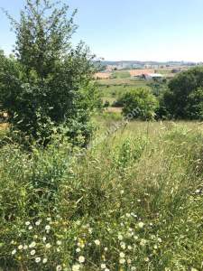 Körfez'de Yol Üzeri İmarlı Satılık Tarla 4