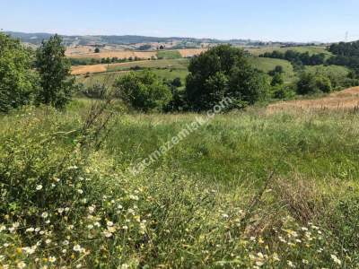 Körfez'de Yol Üzeri İmarlı Satılık Tarla 2