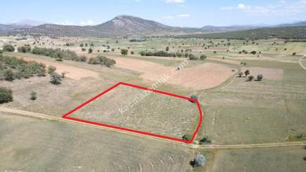 Antalya Sınırı 2.468 M² Yola Cephe , Hobi Bahçesi 2