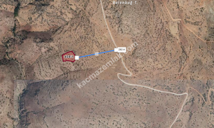 Konya Hadım Aşağıeşenler 'De 5.536 M Tarla Satılık 3