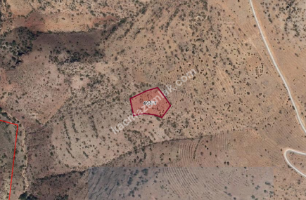 Konya Hadım Aşağıeşenler 'De 5.536 M Tarla Satılık 1