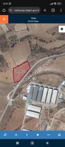 Meram Boyalı/Pazarlarçakılı Da 6603M2 Satılık Tarla 3