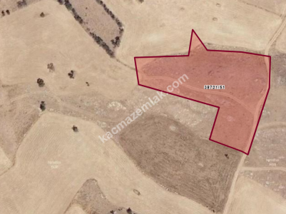 Konya Meram Boyalı'da Arsa 1