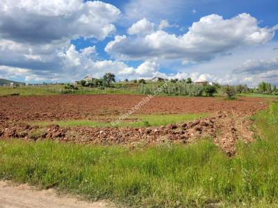 Konya Meram Kızılören De Satılık Tarla 6