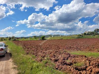 Konya Meram Kızılören De Satılık Tarla 15