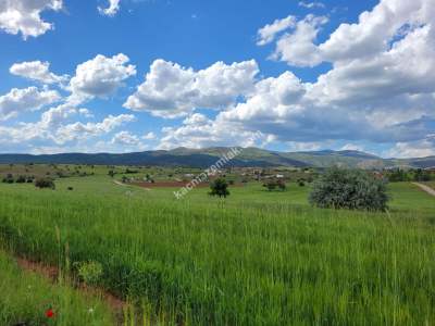 Konya Meram Kızılören De Satılık Tarla 12