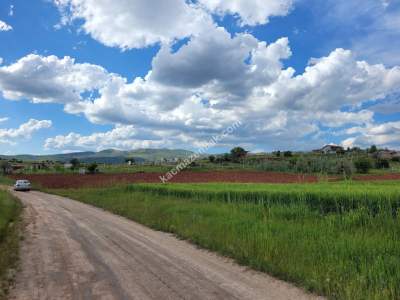 Konya Meram Kızılören De Satılık Tarla 3