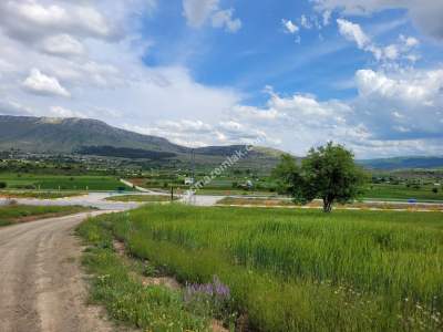 Konya Meram Kızılören De Satılık Tarla 10