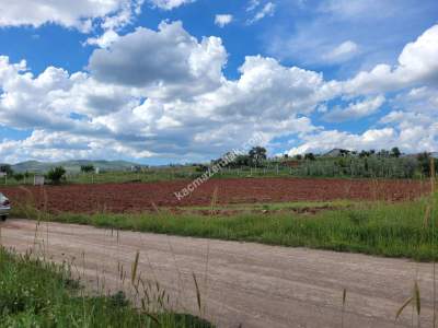 Konya Meram Kızılören De Satılık Tarla 5