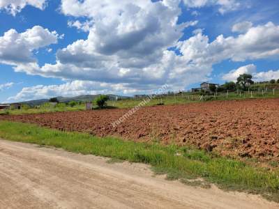 Konya Meram Kızılören De Satılık Tarla 1