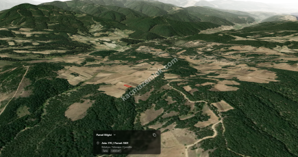 Satılık Tarla Kütahya Aslanapa Çamdibi 1032 M2 1