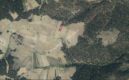 Satılık Tarla Kütahya Aslanapa Çamdibi 1032 M2 2