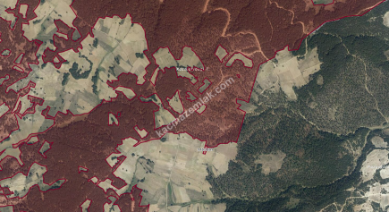 Satılık Tarla Kütahya Aslanapa Çamdibi 1032 M2 3
