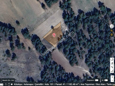Satılık Tarla Kütahya Aslanapa Çamdibi 1182 M2 1