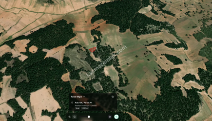 Satılık Tarla Kütahya Aslanapa Çamdibi 1182 M2 3