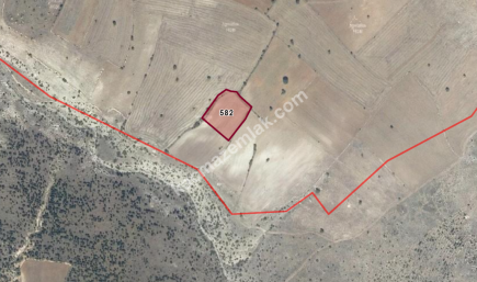 Kütahya Çavdarhisar Barağı 3.600 M Tarla Satılık 1