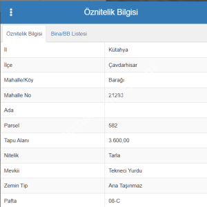 Kütahya Çavdarhisar Barağı 3.600 M Tarla Satılık 2