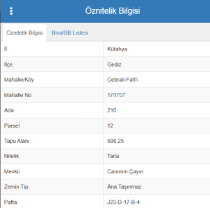 Kütahya Çavdarhisar Cebrail Fatih 598 M Tarla Satılık 4