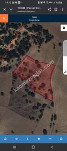 Kütahya Merkez Ahiler De Satlık Tarla 3