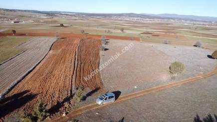 Kütahya Merkez Doğalar'da Satılık 2920M2 Tarla 32