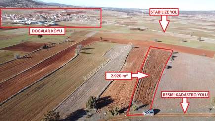 Kütahya Merkez Doğalar'da Satılık 2920M2 Tarla 7
