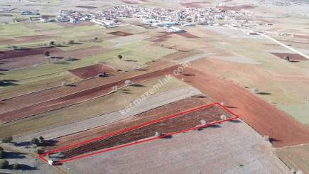 Kütahya Merkez Doğalar'da Satılık 2920M2 Tarla 15