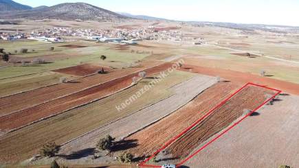 Kütahya Merkez Doğalar'da Satılık 2920M2 Tarla 30