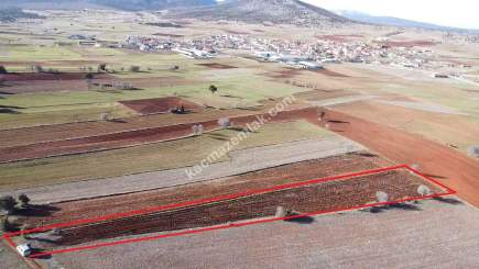 Kütahya Merkez Doğalar'da Satılık 2920M2 Tarla 27