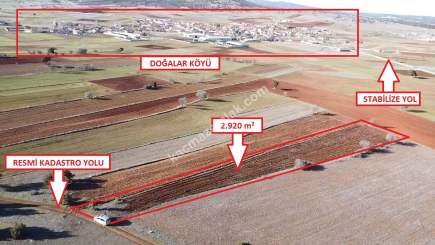 Kütahya Merkez Doğalar'da Satılık 2920M2 Tarla 8