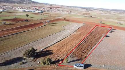 Kütahya Merkez Doğalar'da Satılık 2920M2 Tarla 17