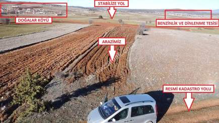 Kütahya Merkez Doğalar'da Satılık 2920M2 Tarla 6