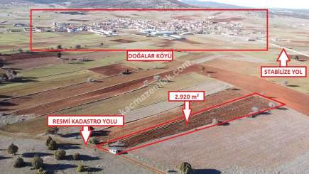Kütahya Merkez Doğalar'da Satılık 2920M2 Tarla 13
