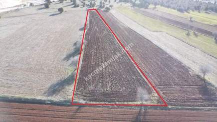 Kütahya Merkez Doğalar'da Satılık 2920M2 Tarla 34