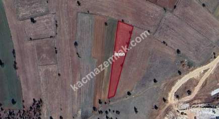 Kütahya Merkez Doğalar'da Satılık 2920M2 Tarla 2