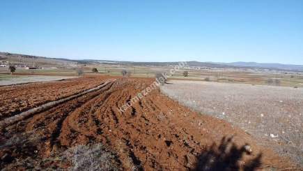 Kütahya Merkez Doğalar'da Satılık 2920M2 Tarla 16